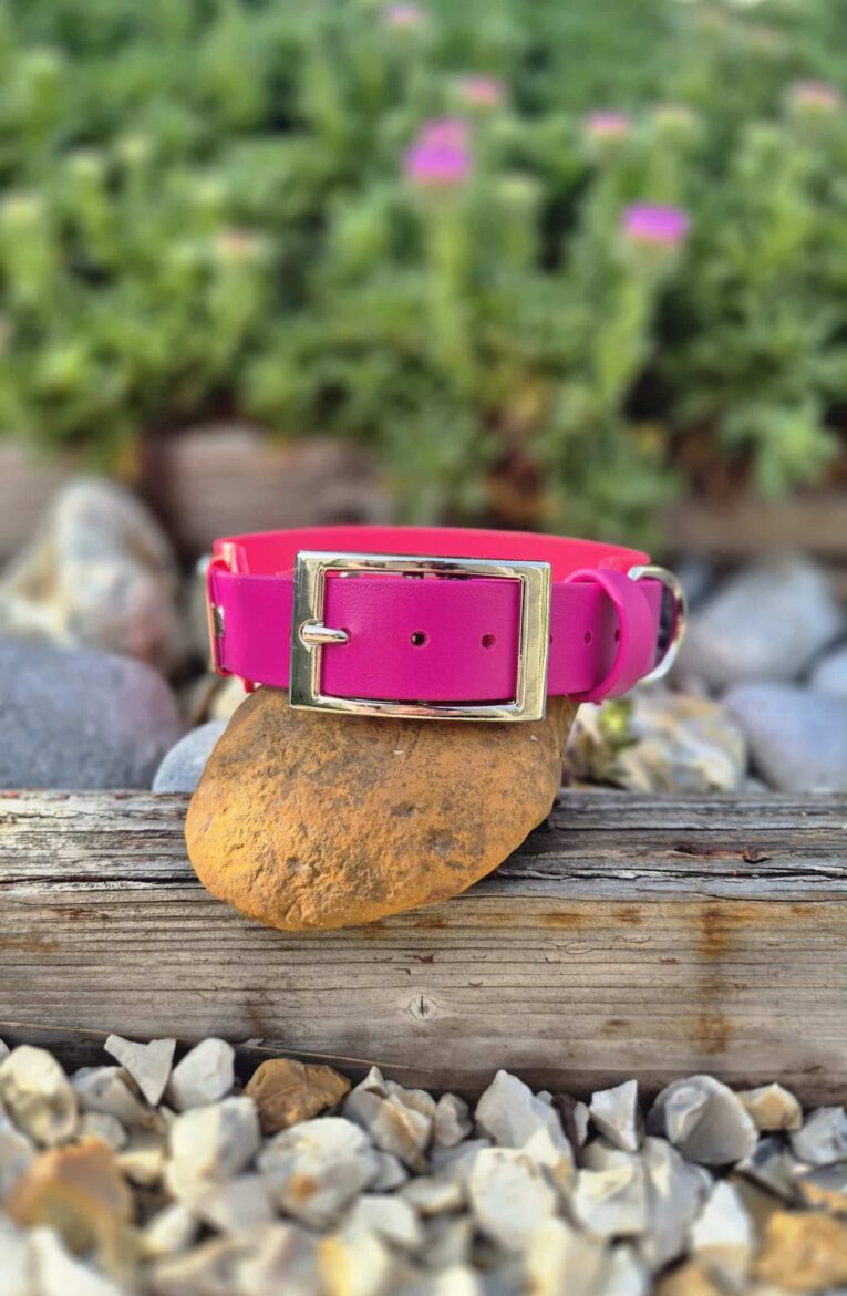 Bright pink tapered BioThane dog collar with gold-toned buckle, displayed on natural wood and stones with garden background.