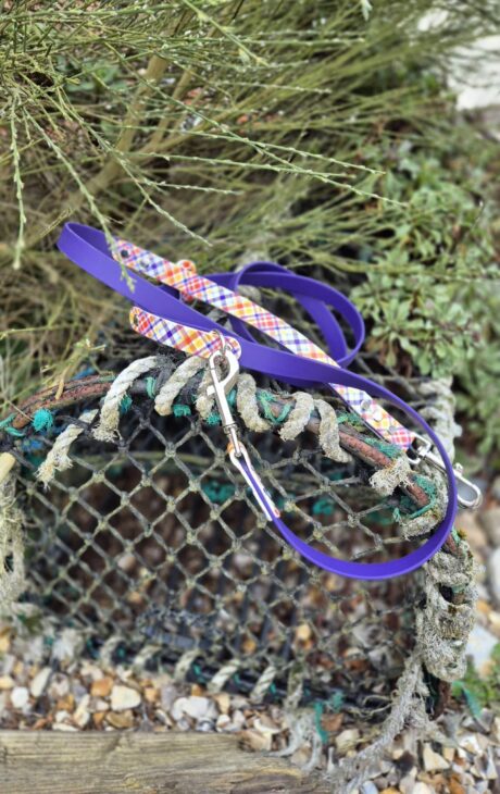 Printed Accent Multi-Way Double-Ended 2m Lead