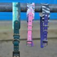 Three handmade BioThane dog collars with printed designs displayed on a seaside rail; turquoise, pink, and purple styles.