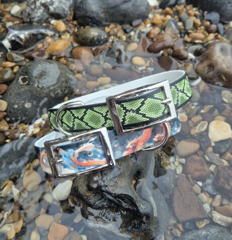 Two handmade BioThane dog collars displayed on coastal rocks: one with lime green diamond print, one with koi fish artwork in orange and blue.