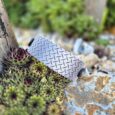 Printed BioThane hound collar with diamond plate pattern detail, displayed on moss-covered stone.