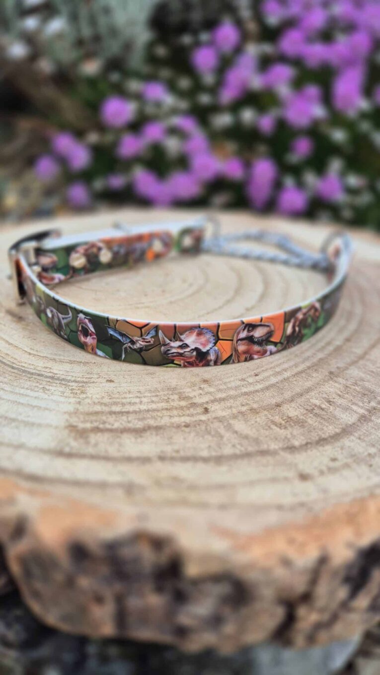 Printed BioThane martingale dog collar with vibrant graphic design, displayed on wooden surface with purple flowers behind.