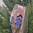 Printed wide martingale dog collar in coral, blue and purple, displayed on weathered wood post with evergreen shrubs behind.