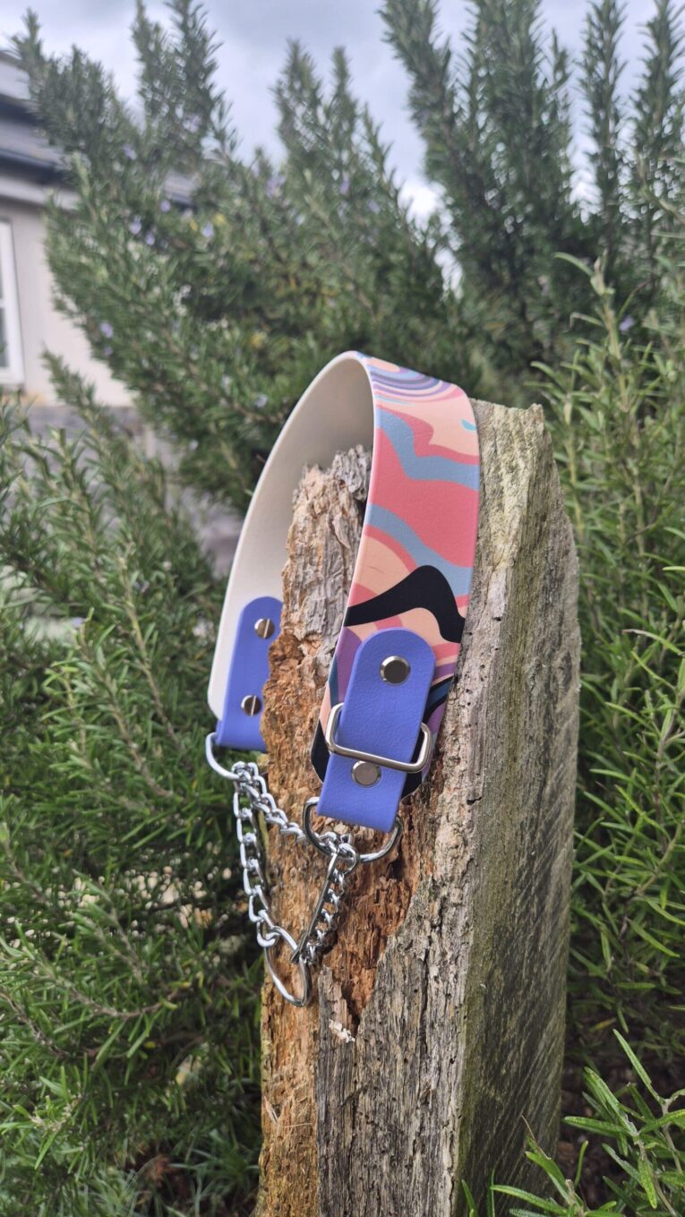 Printed wide martingale dog collar in coral, blue and purple, displayed on weathered wood post with evergreen shrubs behind.