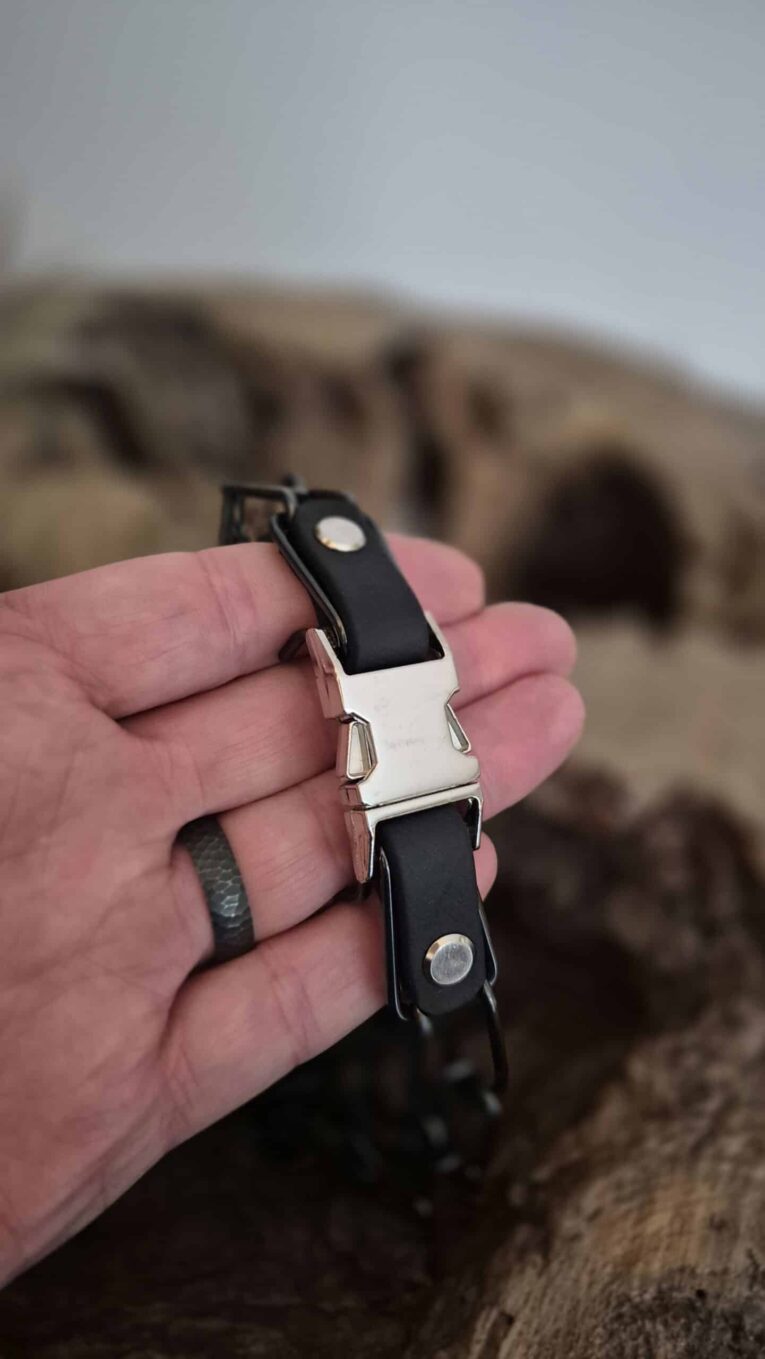 biothane quick release buckle on black BioThane dog collar strap with metal fittings.