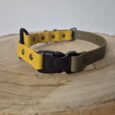 Yellow and sage BioThane quick release dog collar with bungee attachment on wooden surface.