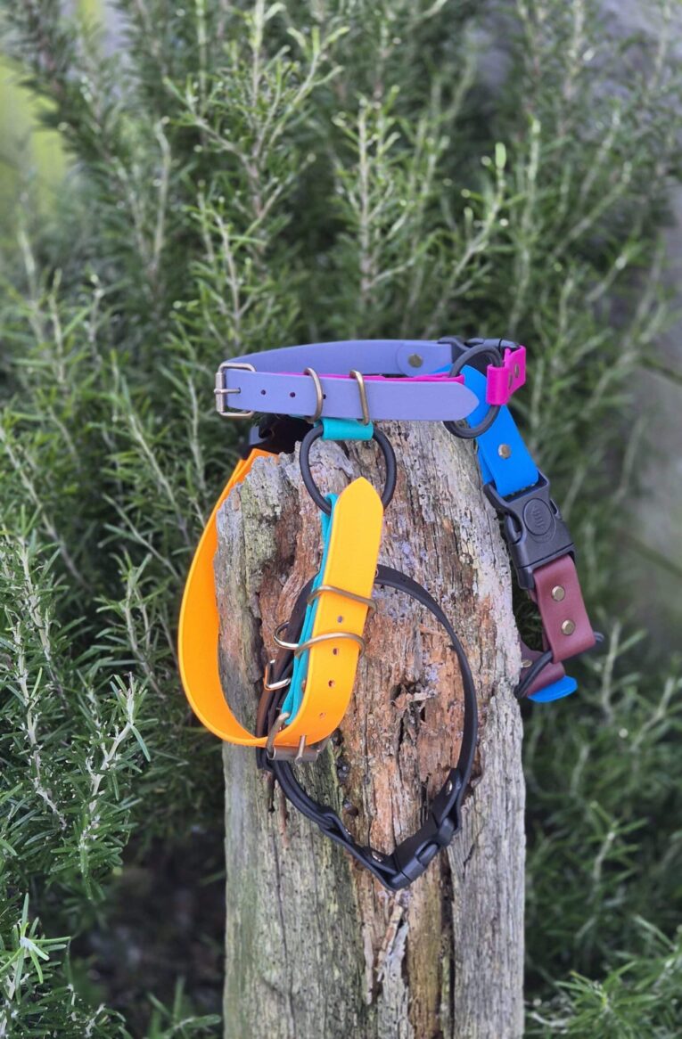 Colourful handmade BioThane dog collars and leads displayed on weathered wood post with greenery behind.