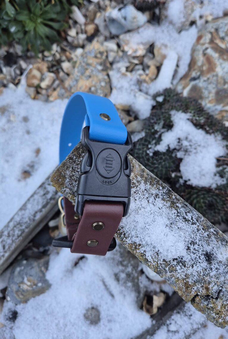 Blue quick release strap with BioThane handle attachment on snowy rocky ground.