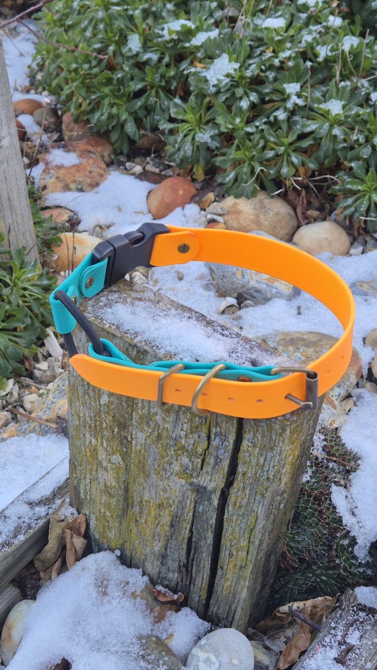 Bright orange BioThane replacement bungee strap with turquoise webbing, displayed on weathered wooden post in snowy garden setting.