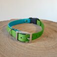 Bright lime green BioThane dog collar with turquoise interior and chrome buckle, displayed on wooden surface.