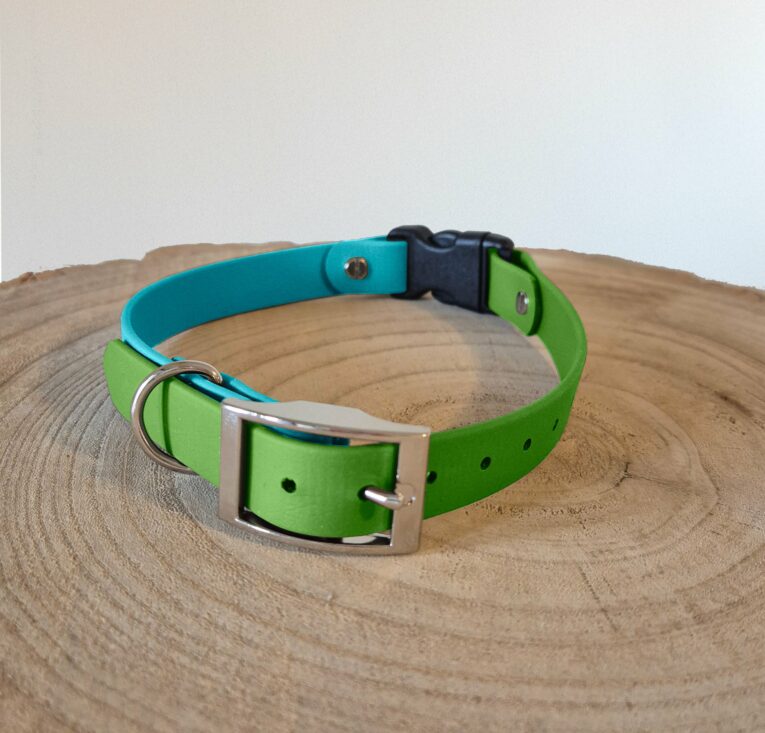 Bright lime green BioThane dog collar with turquoise interior and chrome buckle, displayed on wooden surface.