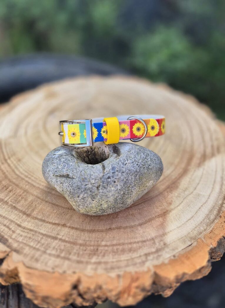 Sunflower rainbow handmade BioThane dog collar displayed on stone with wood slice background.