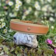 Tan BioThane hound collar displayed on a stone in a sunlit garden with white daisies and pink flowers.