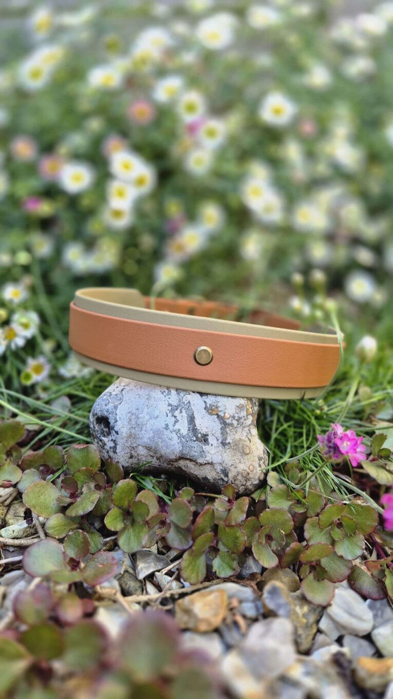 Tan BioThane hound collar displayed on a stone in a sunlit garden with white daisies and pink flowers.