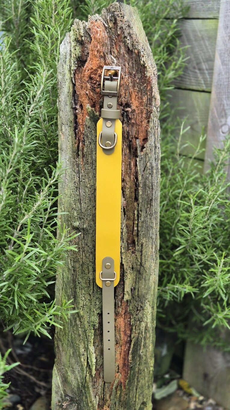 Bright yellow handmade BioThane dog collar with tapered design and metal hardware, displayed on weathered wood.
