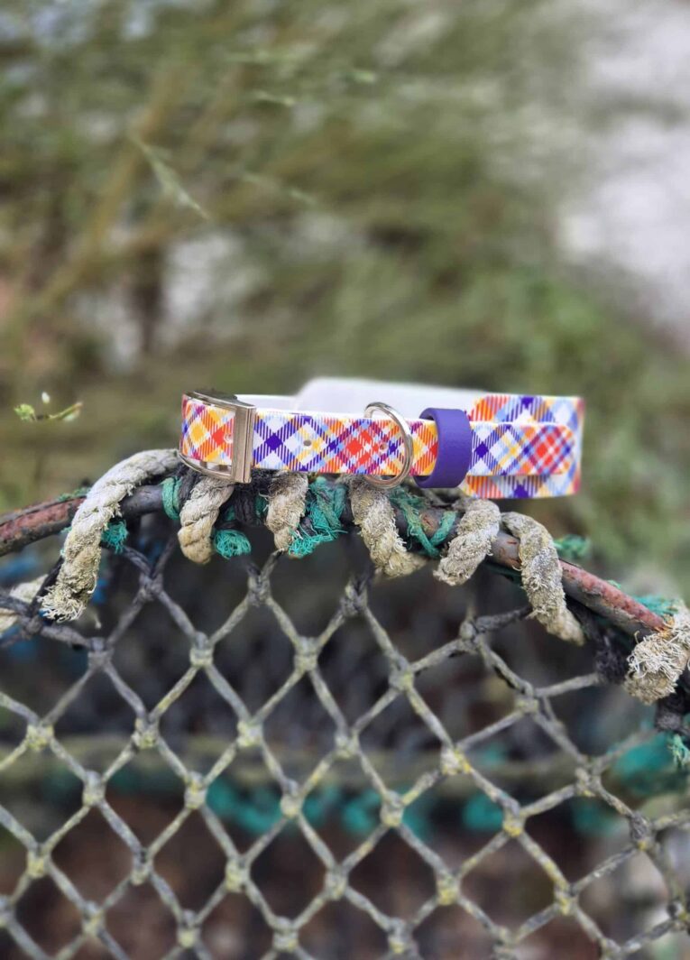 Vibrant tartan-patterned handmade dog collar displayed on weathered rope, showcasing colourful woven design with metal hardware.