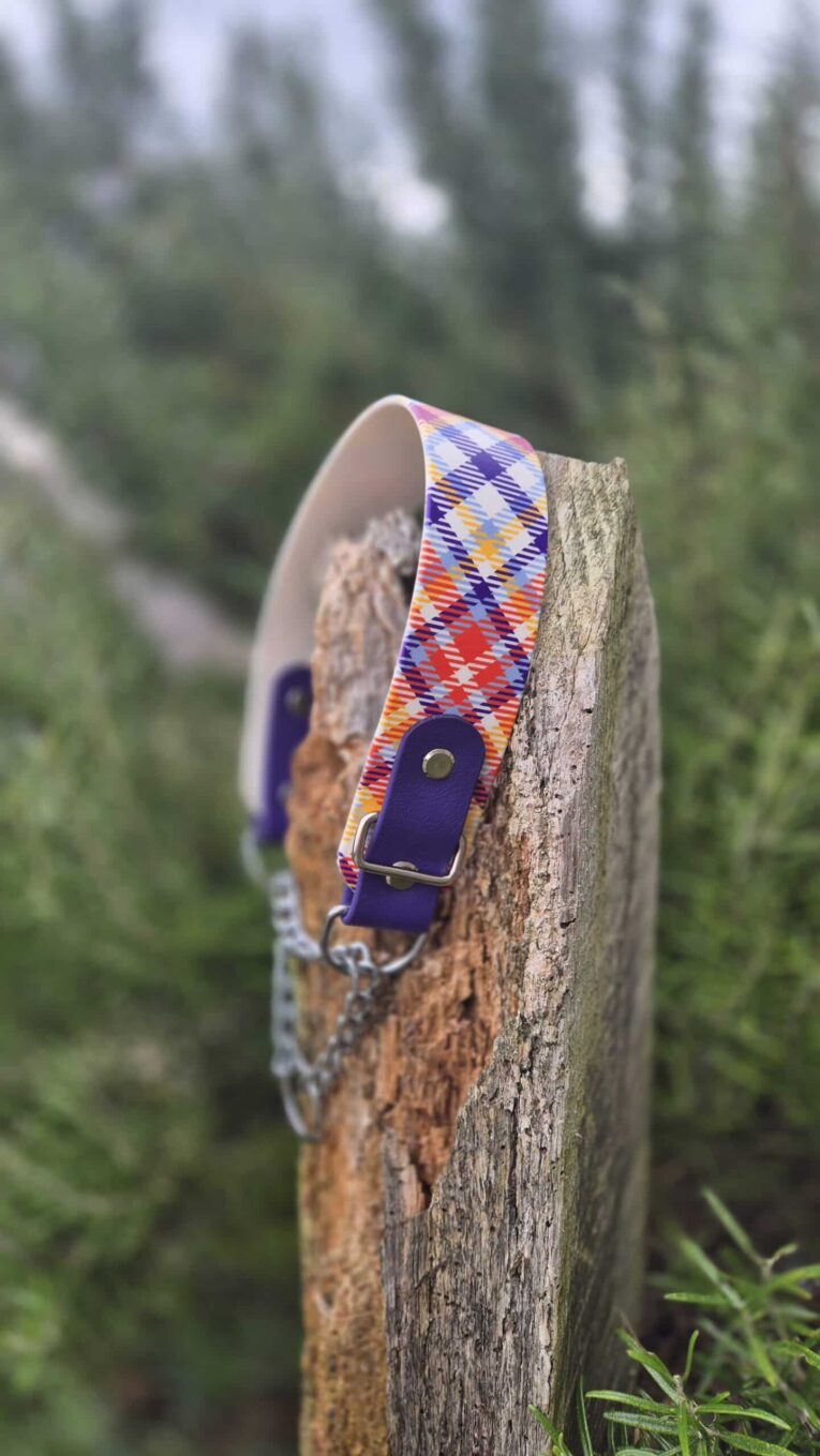 Tartan martingale dog collar with purple BioThane hardware, displayed on weathered wood outdoors.