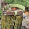 Two-tone BioThane dog collar in cream and brown with metal hardware, displayed on a moss-covered post.