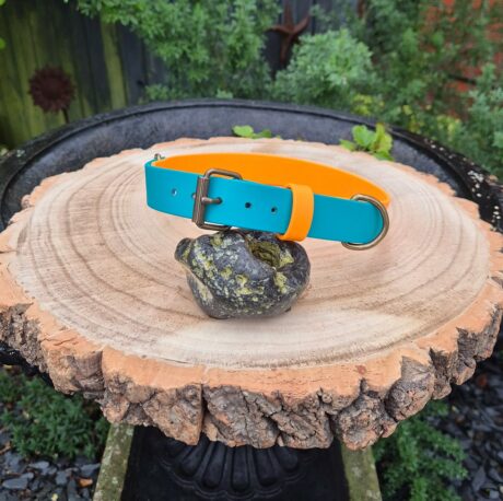 Citrus Coast Collar