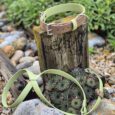 Lime-green handmade BioThane dog collars displayed on weathered wood in a coastal garden setting.