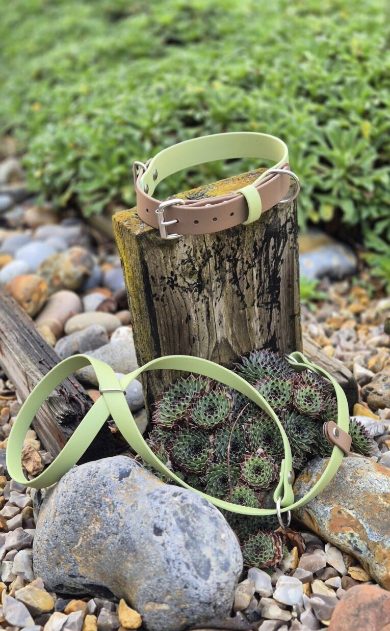 Lime-green handmade BioThane dog collars displayed on weathered wood in a coastal garden setting.