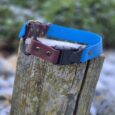Bright blue waterproof bungee collar with burgundy BioThane section and black buckle on wooden post.