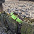 Bright lime green waterproof dog collar displayed on weathered wooden post by beach, showcasing durable BioThane construction and secure buckle fastening.