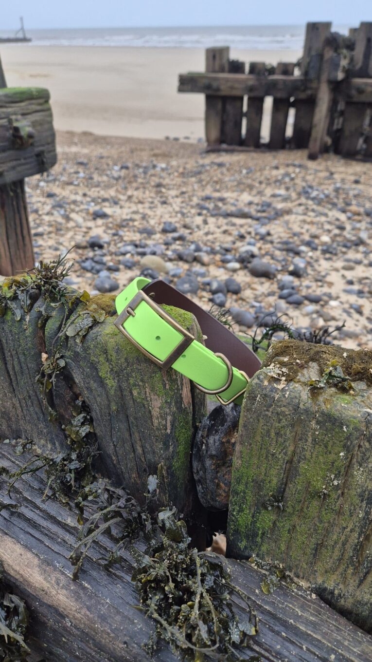Bright lime green waterproof dog collar displayed on weathered wooden post by beach, showcasing durable BioThane construction and secure buckle fastening.