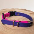 Vibrant pink and purple waterproof ecollar bungee strap with bronze hardware, displayed on natural wood.
