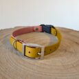 Waterproof ecollar strap in yellow and coral BioThane with metal buckle and D-ring on wooden surface.