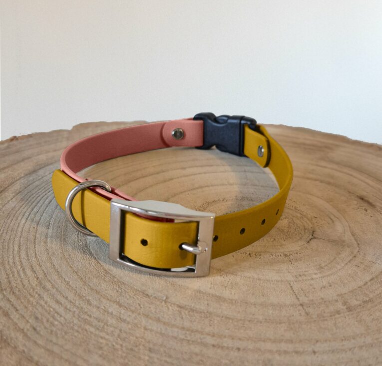 Waterproof ecollar strap in yellow and coral BioThane with metal buckle and D-ring on wooden surface.