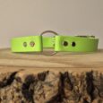 Bright lime green waterproof gundog collar with metal D-ring and stud fastenings on wooden surface.