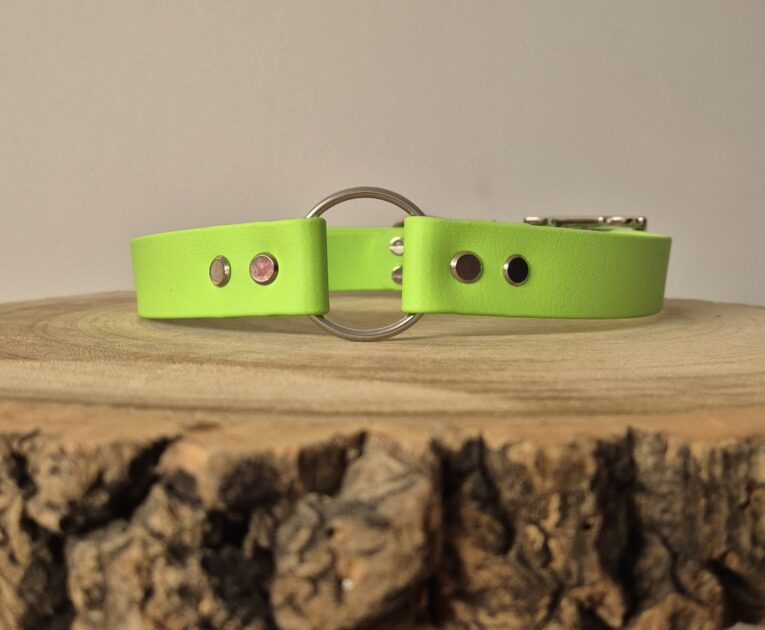 Bright lime green waterproof gundog collar with metal D-ring and stud fastenings on wooden surface.