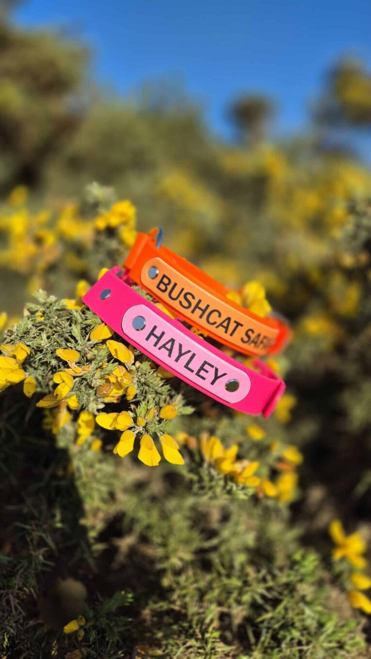 Personalised waterproof gundog collars in vibrant pink and orange, customised with dog names, displayed on yellow wildflowers.