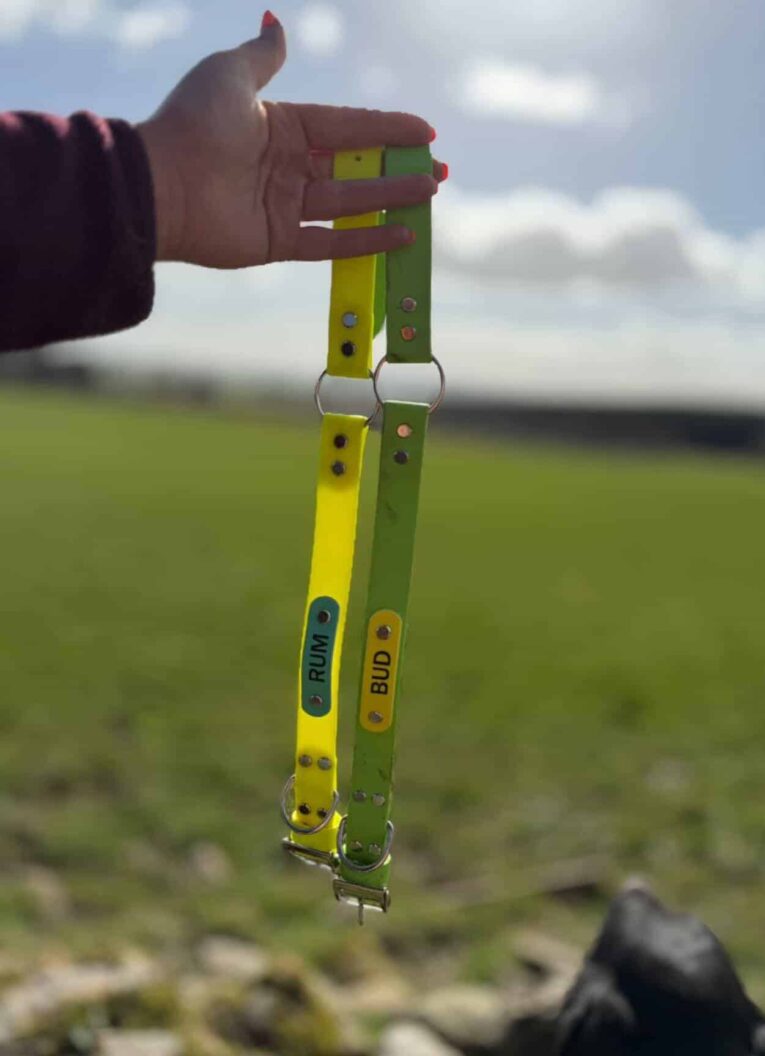 Waterproof gundog collar in yellow and green BioThane, held aloft against a countryside sky.