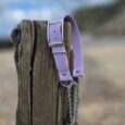 Lavender BioThane half check collar with metal hardware, displayed on weathered wood post by beach.