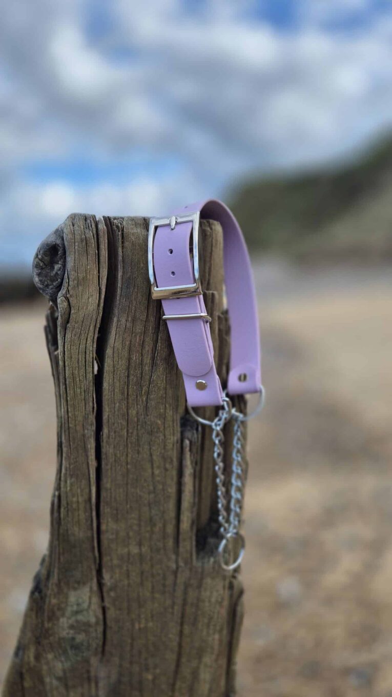 Lavender BioThane half check collar with metal hardware, displayed on weathered wood post by beach.