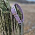 Lavender waterproof half slip collar with metal buckle displayed on weathered wooden post by beach.