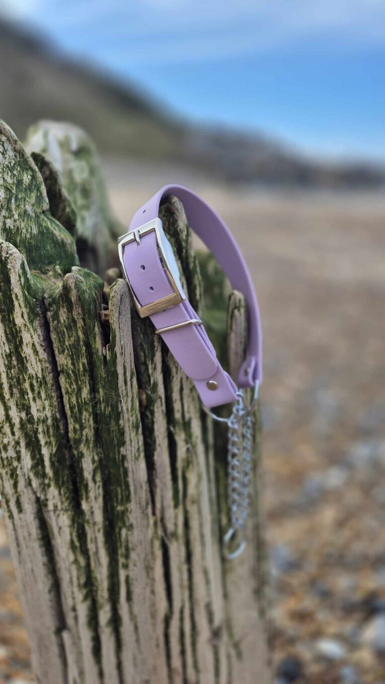 Lavender waterproof half slip collar with metal buckle displayed on weathered wooden post by beach.