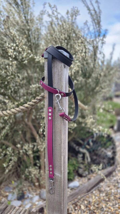 Burgundy and black BioThane handsfree lead wrapped around wooden post in garden setting
