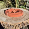 Waterproof longline in vibrant coral orange, coiled on a wooden surface with garden foliage behind