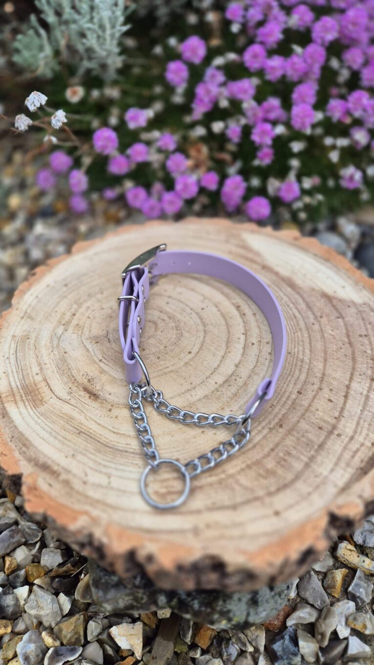 Lavender waterproof martingale dog collar with chain and ring detail on wooden log, garden setting.