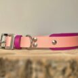 Pink and magenta waterproof hound collar with silver hardware on wooden surface