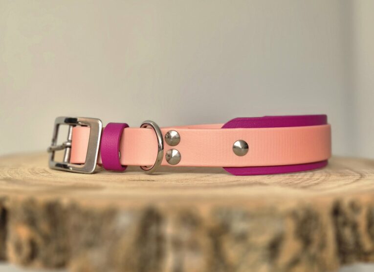 Pink and magenta waterproof hound collar with silver hardware on wooden surface