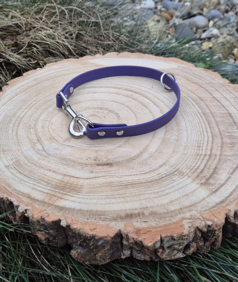 Purple waterproof slip collar with silver hardware displayed on a wooden tree cross-section