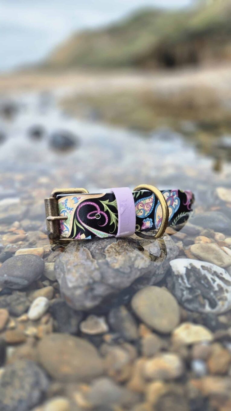 Handmade BioThane waterproof floral dog collar with purple trim and brass hardware, displayed on coastal pebbles.