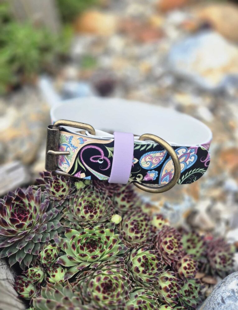 Handmade BioThane dog collar with vibrant paisley pattern, purple keeper and antique brass hardware, displayed on purple succulent plant.