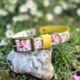 Yellow floral handmade BioThane dog collar displayed on a stone in a garden with white flowers.