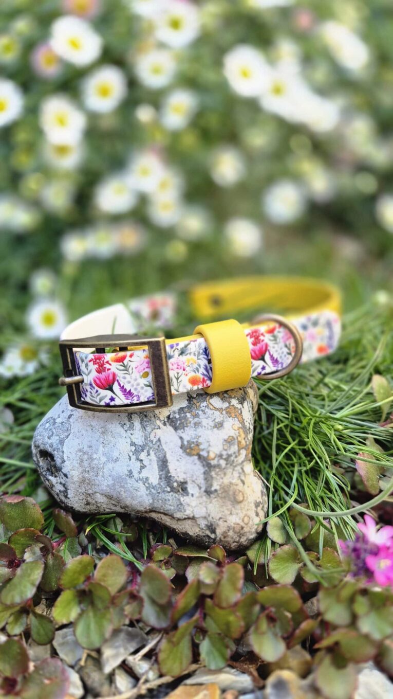 Yellow floral handmade BioThane dog collar displayed on a stone in a garden with white flowers.