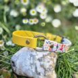 Yellow and floral printed handmade BioThane dog collars displayed on a stone in a garden with white flowers.